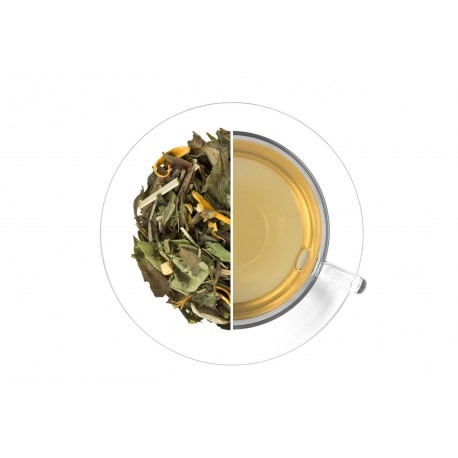 Ledový čaj Citrus - zázvor - bílý,aromatizovaný - Čaje Ledové čaje