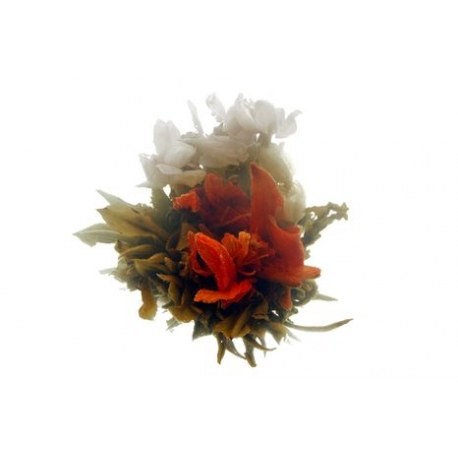 He Jia Huan Le Rodinné štěstí 1 ks (kvetoucí čaj) - Čaje Bílé a kvetoucí čaje