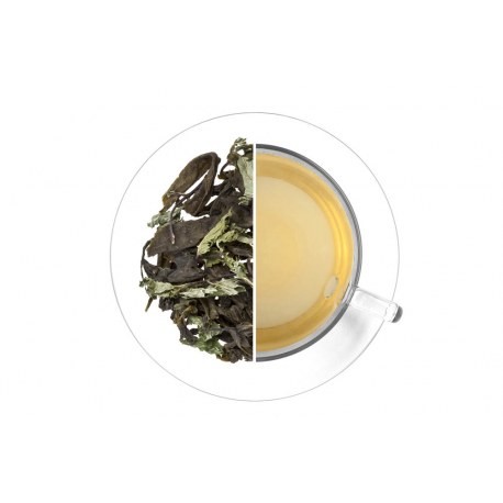 Malawi Green Mint - Čaje Zelené čaje