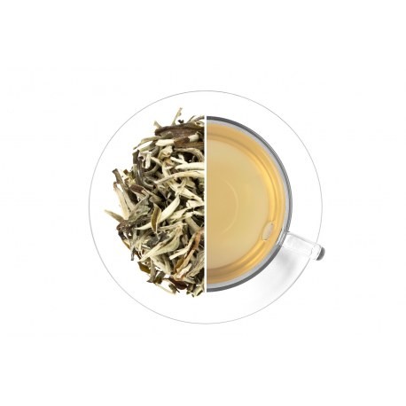 Jasmin White Pai Mu Tan - Čaje Bílé a kvetoucí čaje