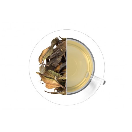 Gruzie Dayanand 30 g mikrolot - Čaje Bílé a kvetoucí čaje