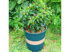 2 ks Kovové podpěry rostlin 35 cm 9