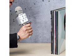 Bezdrátový karaoke mikrofon s reproduktorem a Bluetooth stříbrný 2