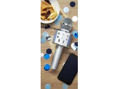 Bezdrátový karaoke mikrofon s reproduktorem a Bluetooth stříbrný 4
