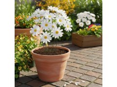 Dekorativní zápich do zahrady/květináče kopretina 10 ks 2