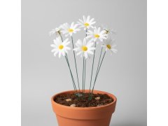 Dekorativní zápich do zahrady/květináče kopretina 10 ks 6