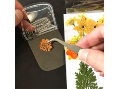 DIY herbář - samolepky na sušené květiny 4