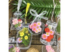 DIY herbář - samolepky na sušené květiny 9