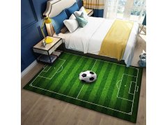 Fotbalový koberec 120x80 cm 9