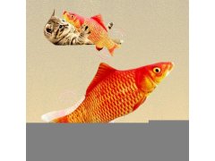 Interaktivní hračka pro kočky - ryba 6