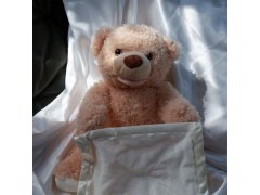 Interaktivní mluvící medvídek 8