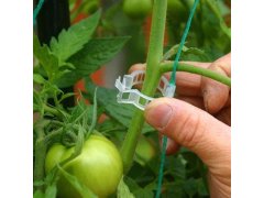 Klipy/pásky pro uchycení rostlin 50 ks