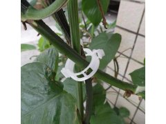 Klipy/pásky pro uchycení rostlin 50 ks 6