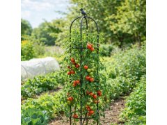 Opora pro popínavé rostliny 140 cm 6
