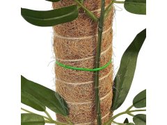 Opora pro popínavé rostliny