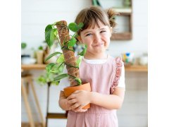 Opora pro popínavé rostliny 3