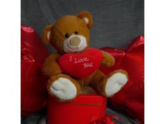 Plyšový medvěd - Miluji tě/I Love You 13