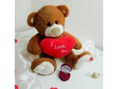 Plyšový medvěd - Miluji tě/I Love You 14