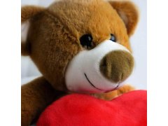 Plyšový medvěd - Miluji tě/I Love You 3