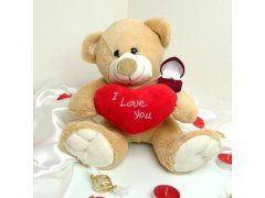 Plyšový medvěd - Miluji tě/I Love You 6