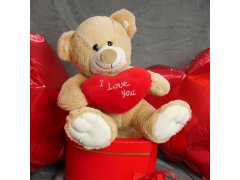 Plyšový medvěd - Miluji tě/I Love You 8