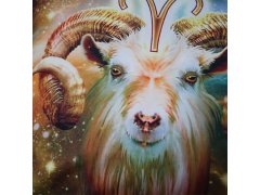 Povlak na polštářek znamení - beran 4