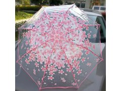 Průhledný deštník - květiny 5