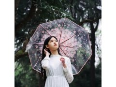 Průhledný deštník - květiny 6