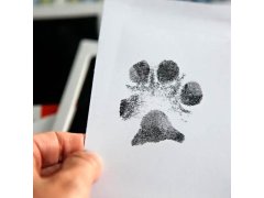 Sada na otisk tlapky - Sada na otisk tlapky s rámečkem na fotky 12