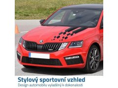 Samolepka na auto - pruhy přerušované černé 3