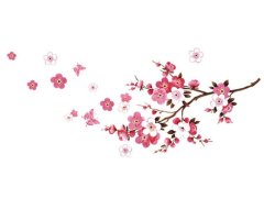 Samolepka na zeď - Sakura 10