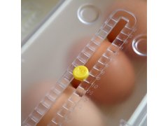 Samospádový organizér na vajíčka 6