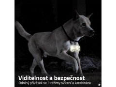 Svítící LED přívěsek na obojek 2