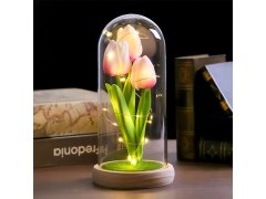 Svítící tulipány ve skleněné kopuli