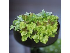 Textilní záhon - velikost M 7