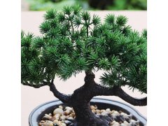 Umělá bonsai v květináči 2