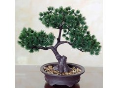 Umělá bonsai v květináči 6