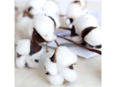 Umělá větvička bavlníku 50 cm 7