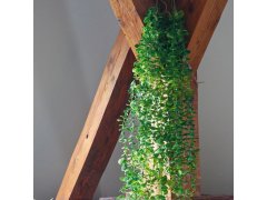 Umělá závěsná rostlina 124 cm 2