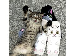 Veselé ponožky s kočičkou - šedé 5