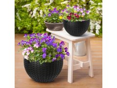 Závěsný květináč - průměr 26 cm 4