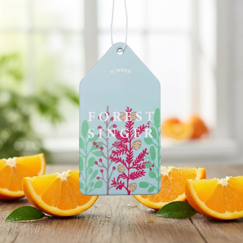 Aroma vůně do auta - pomeranč - Dárky