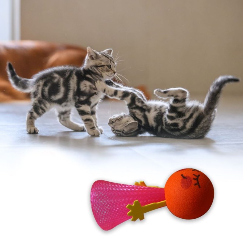 Skákací míček pro kočky - Dárky