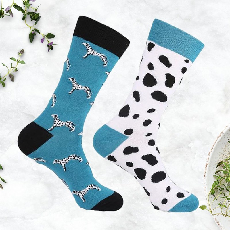 Veselé ponožky - dalmatin
