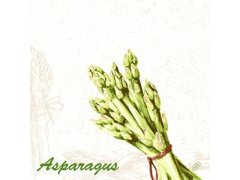 Ubrousek 40x40 Dsoft Green Asparagus 60k