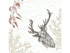 Ubrousek 40x40 Bio Dsoft Wood a Deer 60ks