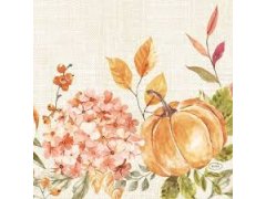 Ubrousek 40x40 Dsoft Spicy Pumpkin