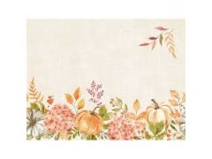 Prostírka 30x40cm Spicy Pumpkin 100ks