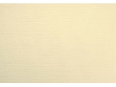 Prostírka 30x40 Velviq 75ks Cream