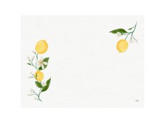 Prostírka 30x40 250ks Lemon Fiesta Paper
